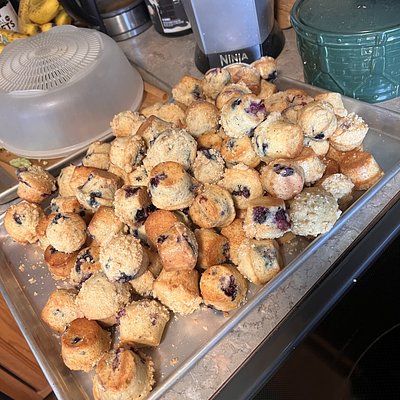 Mini Muffins
