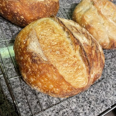 Classic sourdough Loaf