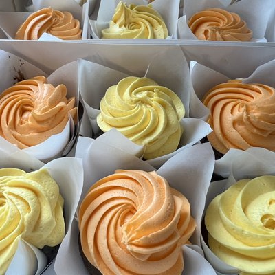 Cupcakes-One Dozen