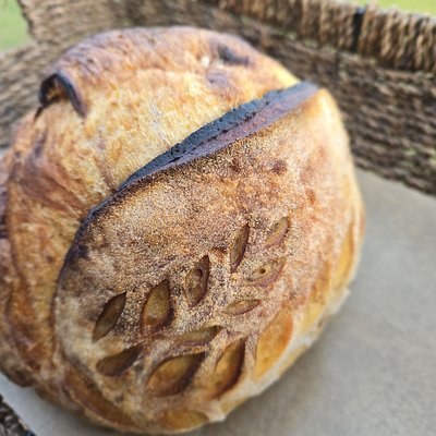 Pumpkin Cinnamon Swirl Sourdough Loaf