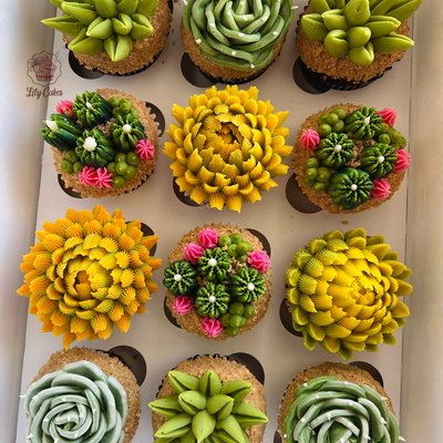 Succulents Cupcakes🪴