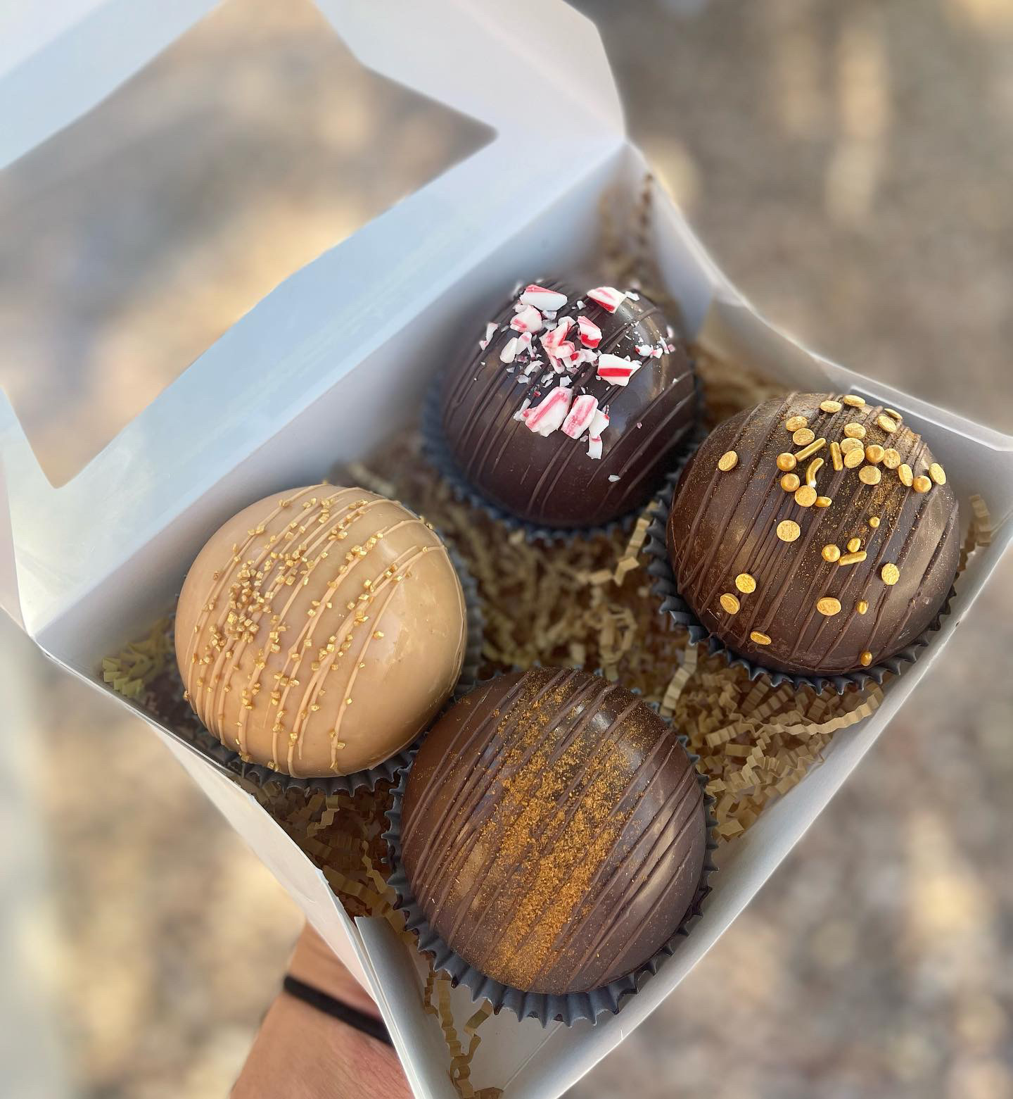 Cocoa Bombs