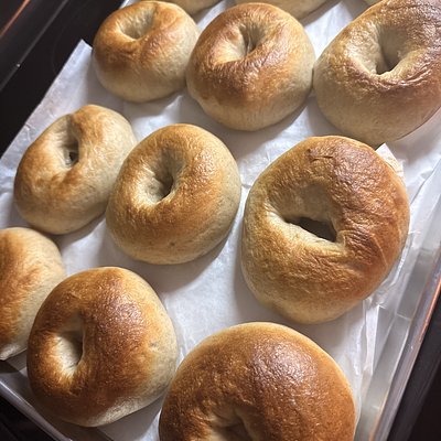 GF Sourdough Bagels