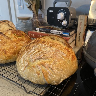 Plain Sourdough Loaf