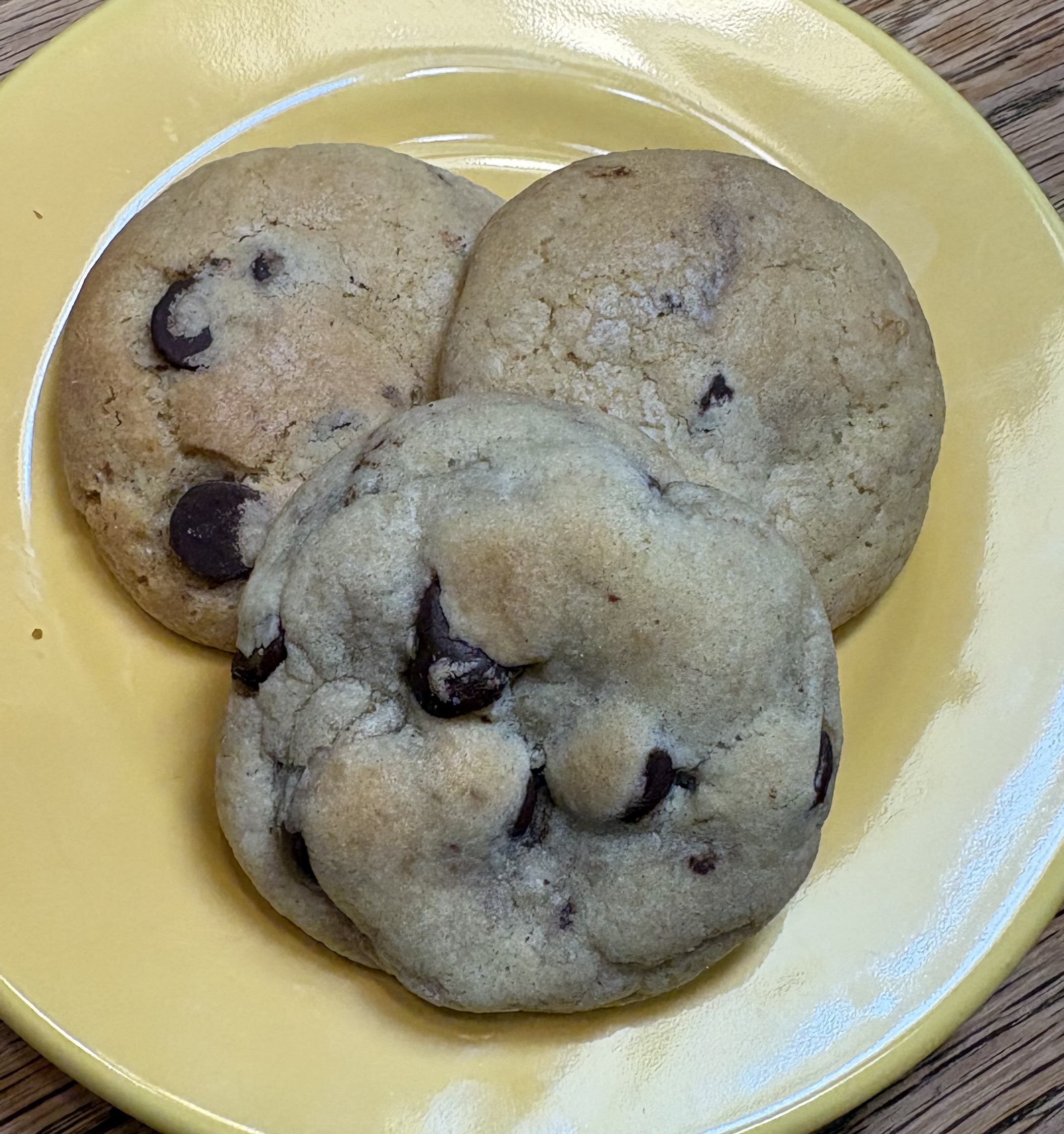 Sourdough Chocolate Chip Cookies (2)
