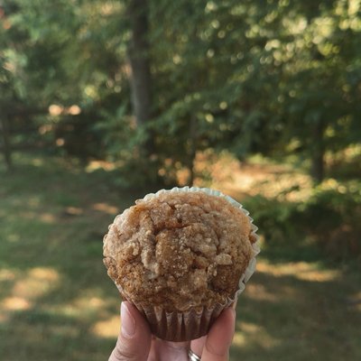 Pumpkin Muffins 4ct