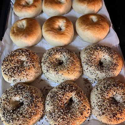 Jalapeño Cheddar GF Sourdough Bagels