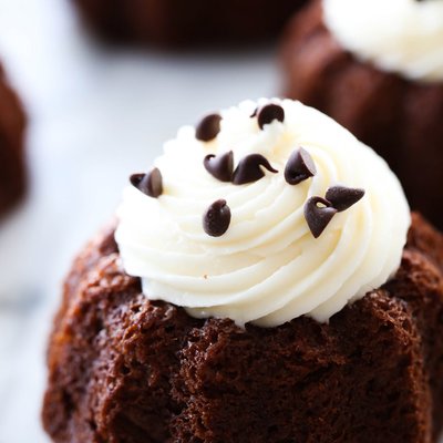 Double Chocolate Mini 
