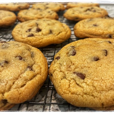 Savannah Gals Classic Chocolate Chip Cookie-Dozen