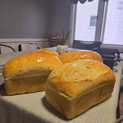 Sourdough Soft Sandwich Bread 