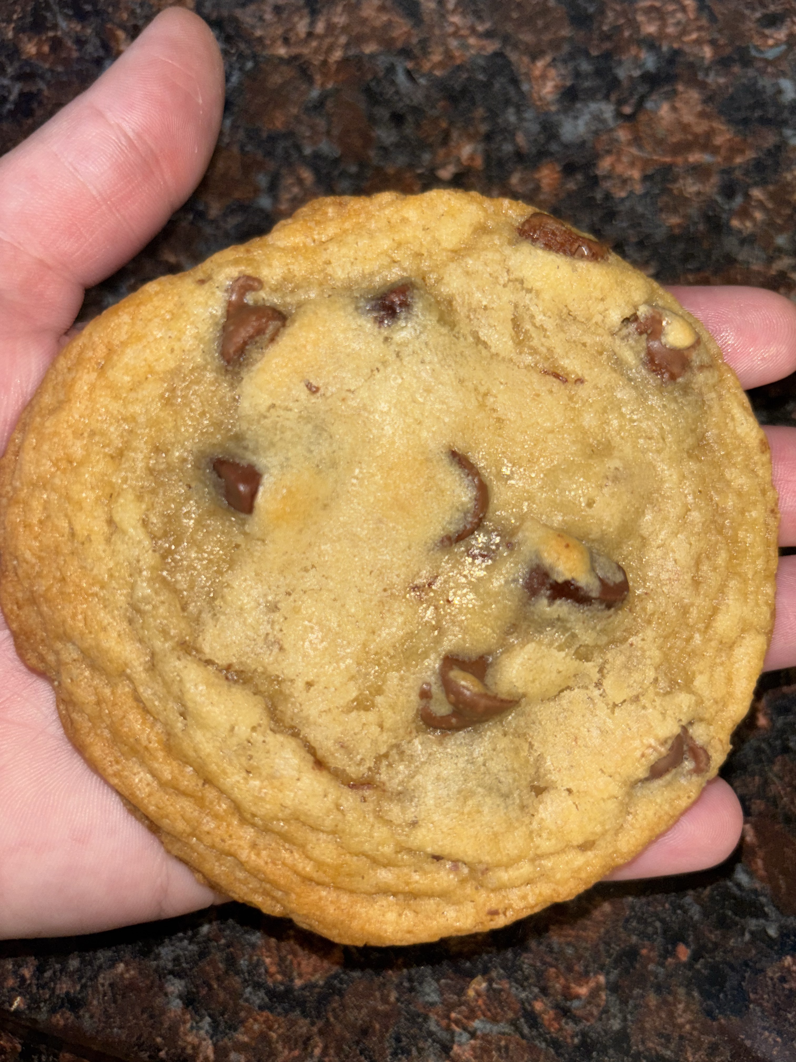 Sourdough Chocolate Chip Cookies