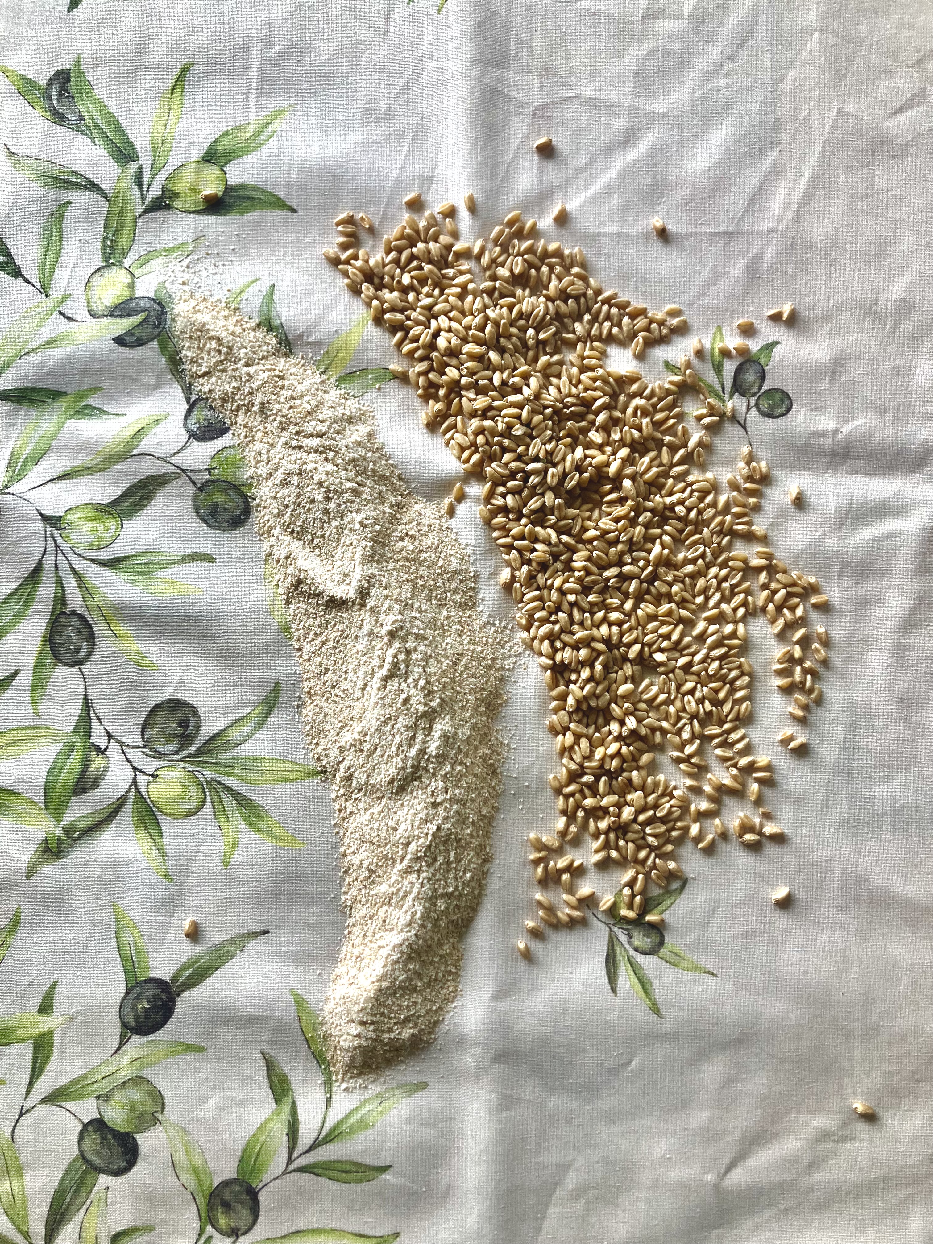 Organic Hard White Fresh Milled Flour 
