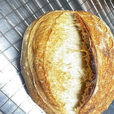 Organic Sourdough Plain Loaf 