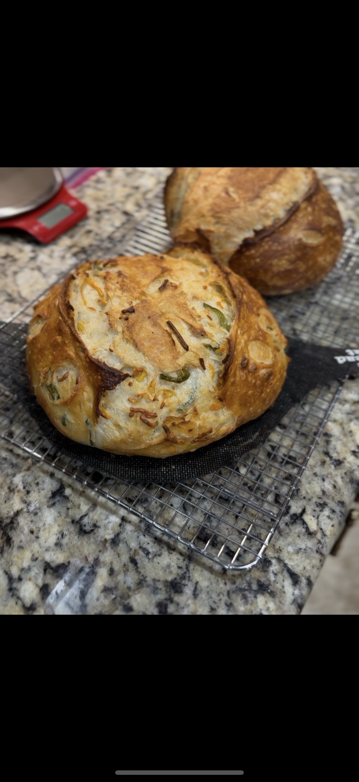 Jalapeño Cheddar 