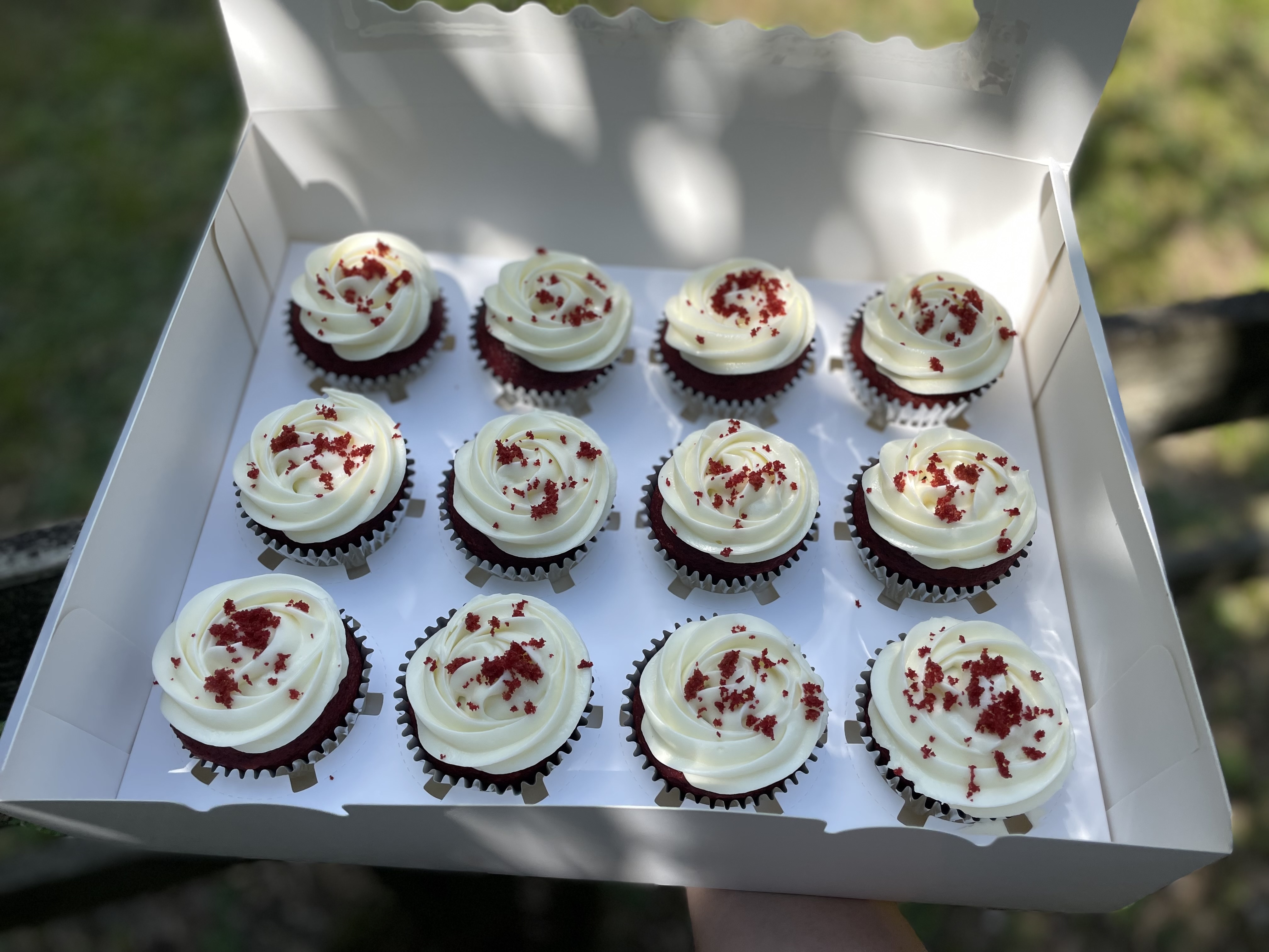 Red Velvet Cupcakes 