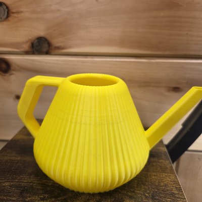 Small Watering Can 