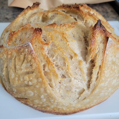 Classic Artisan Sourdough 