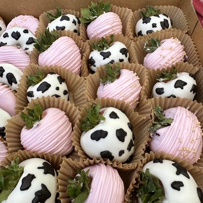 Large Treats Party Package
