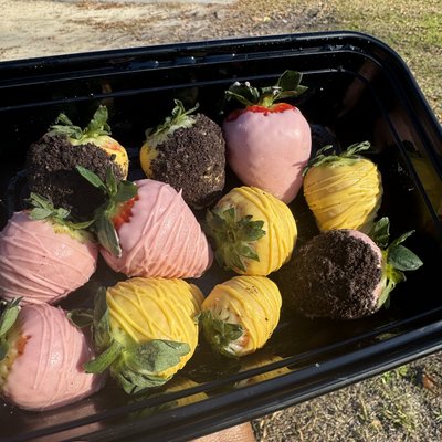 Chocolate Covered Strawberries 