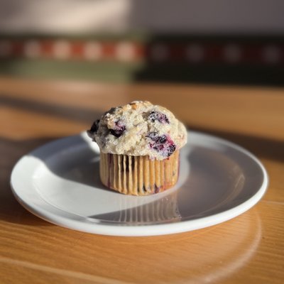 1 Dozen Blueberry Muffin 