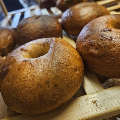 Regular Pretzel Bagels -pack Of 6