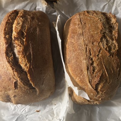 Artisan Loaf- Organic Whole Wheat Sourdough Bread