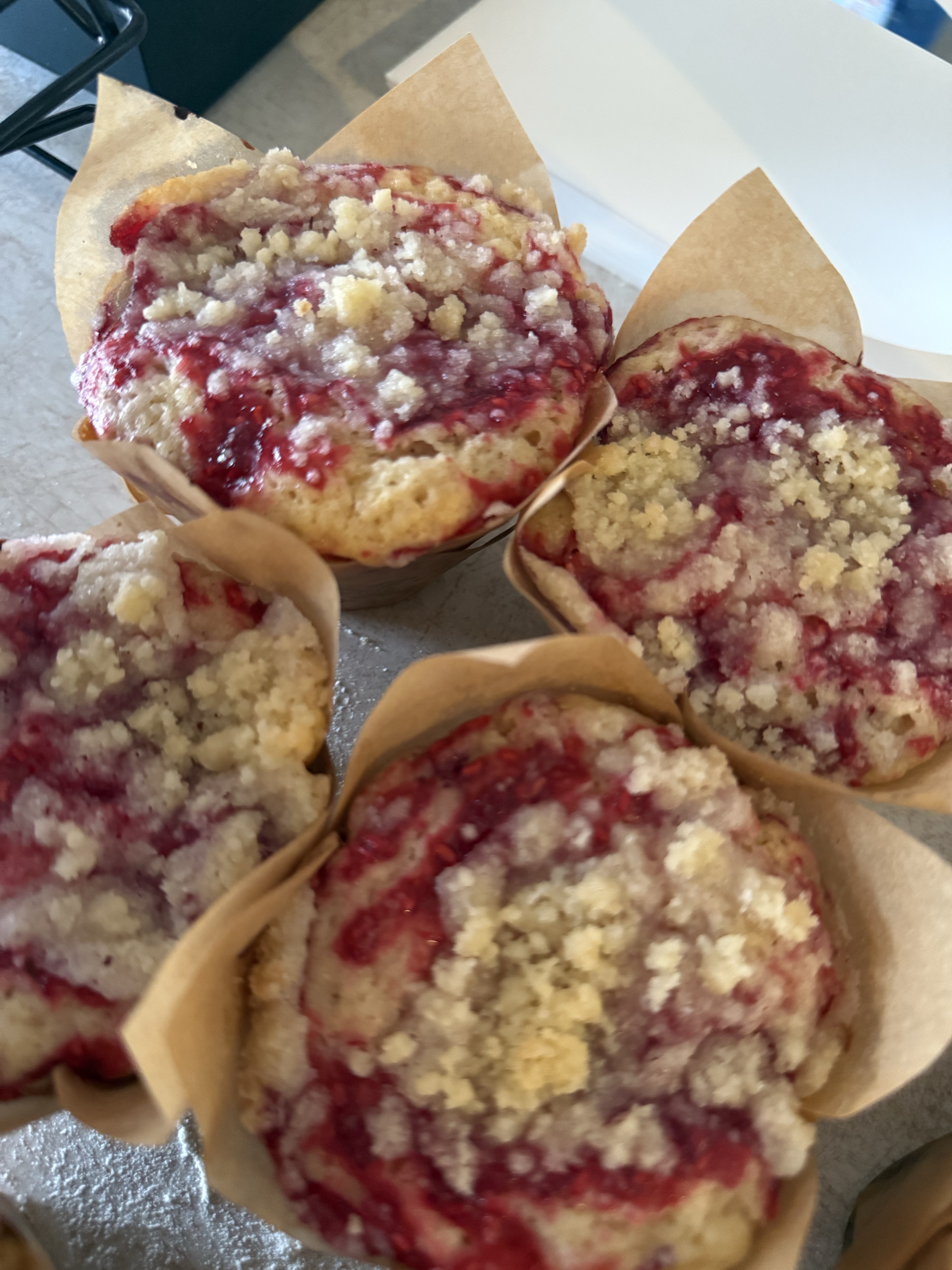 Sourdough Lemon Raspberry Muffins 
