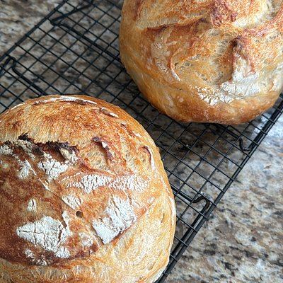 Plain Sourdough Loaf