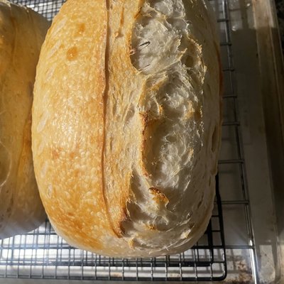 Classic Sourdough Loaf 