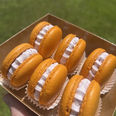 Raspberry 6 Pack Macaron