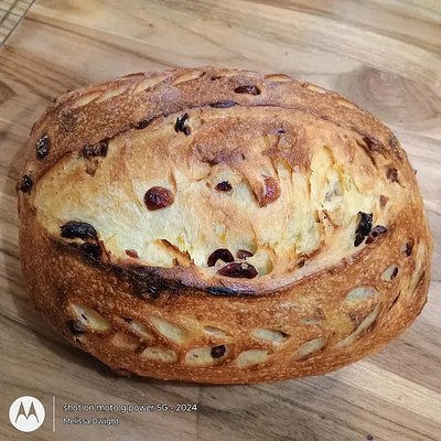 Orange Cranberry Sourdough 