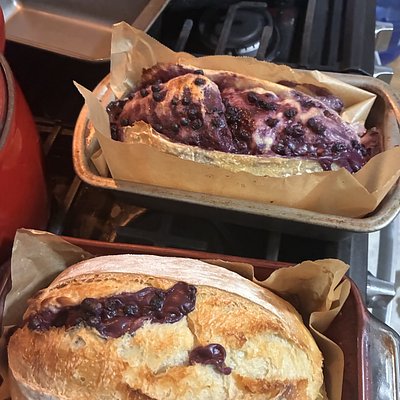 Lemon Blueberry Mini 