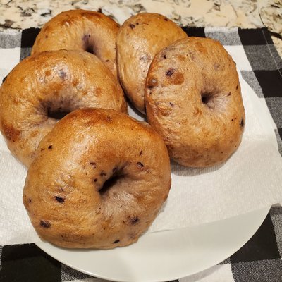Sourdough Blueberry Bagels  (8)
