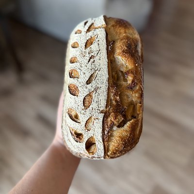 Sourdough Cinnamon Sugar Apple 