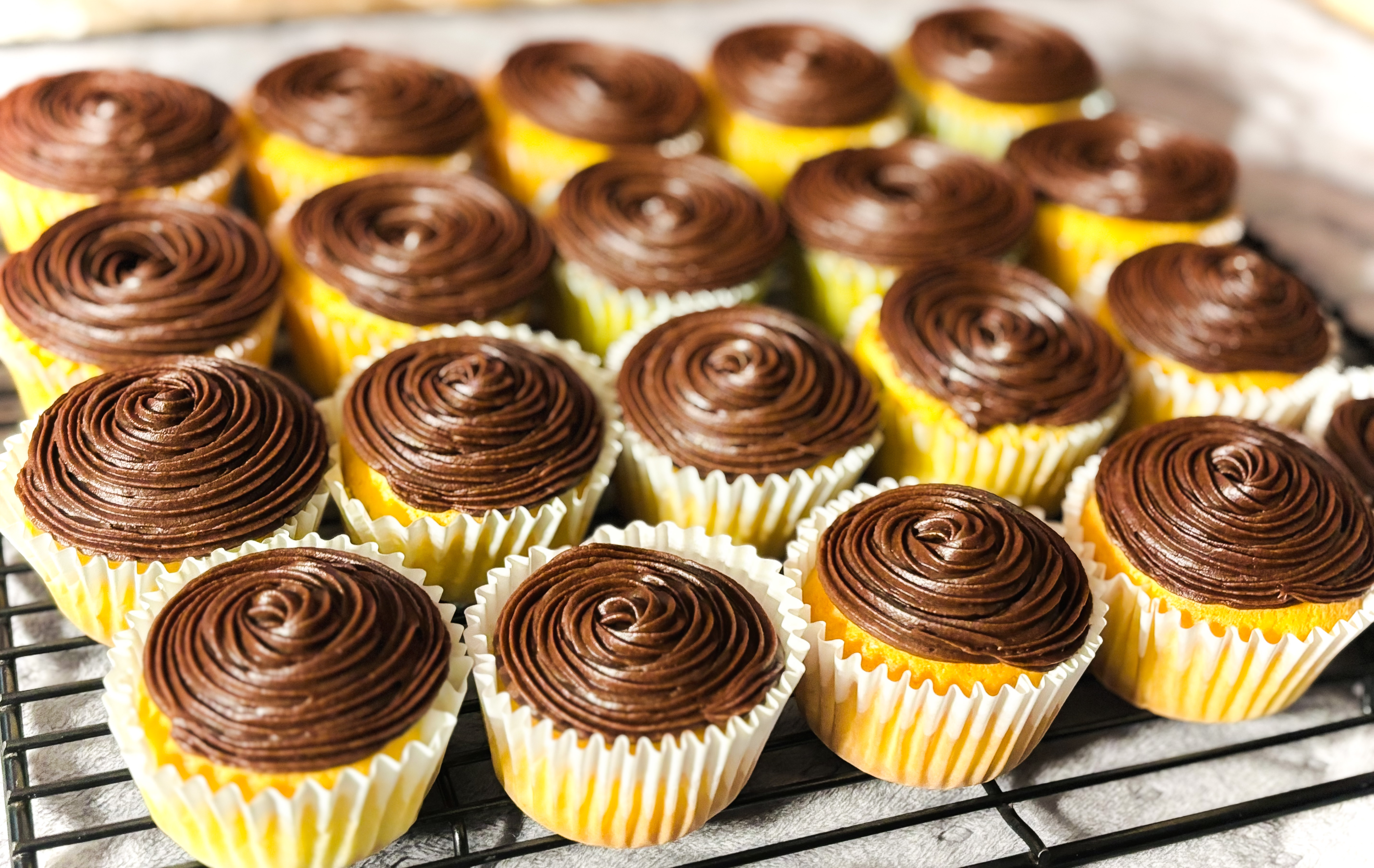 Basic Cupcakes 