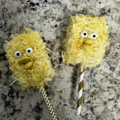 Chick Rice Crispy 