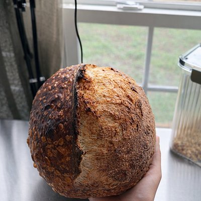 Italian Herbs & Cheese Artisan Sourdough