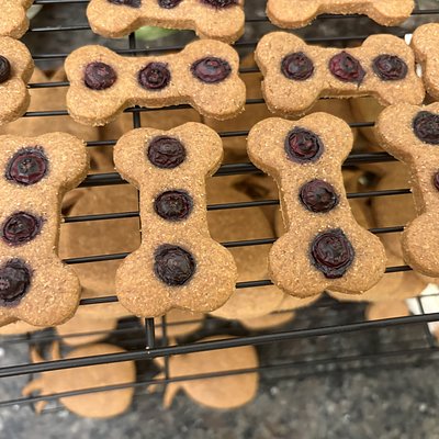 Blissful Blueberry Bites