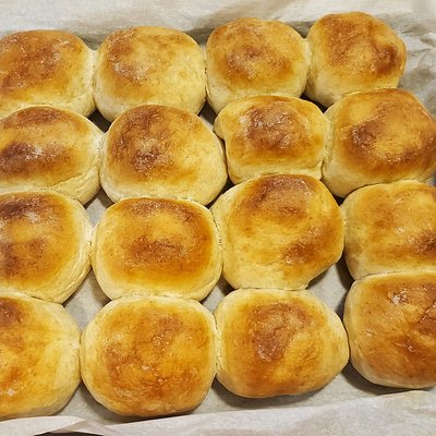 Yeast Rolls Dozen