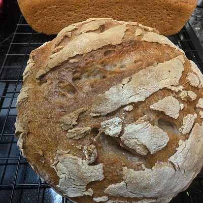 Sourdough