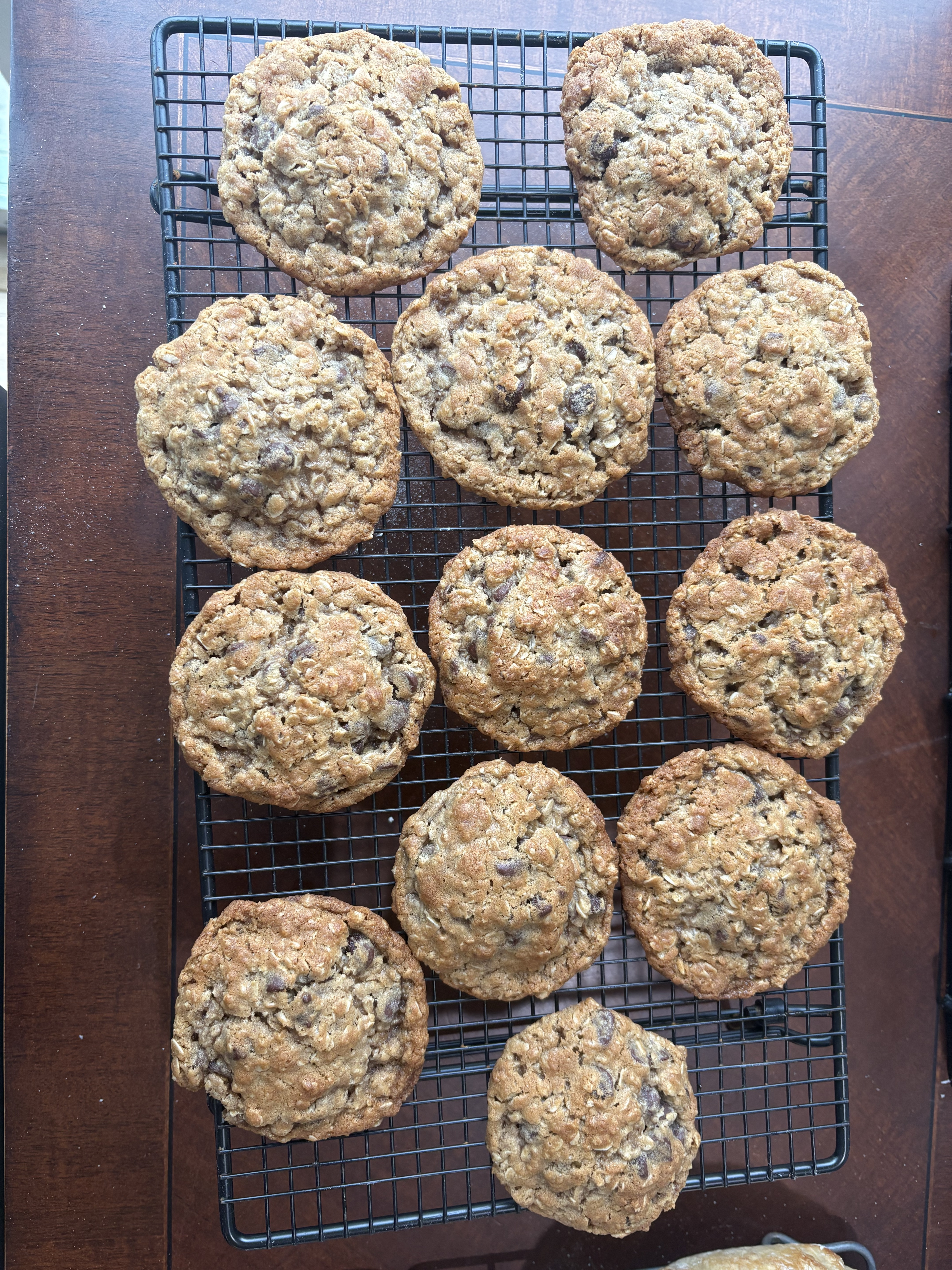 Oatmeal Chocolate Chip Cookies 6 Pack