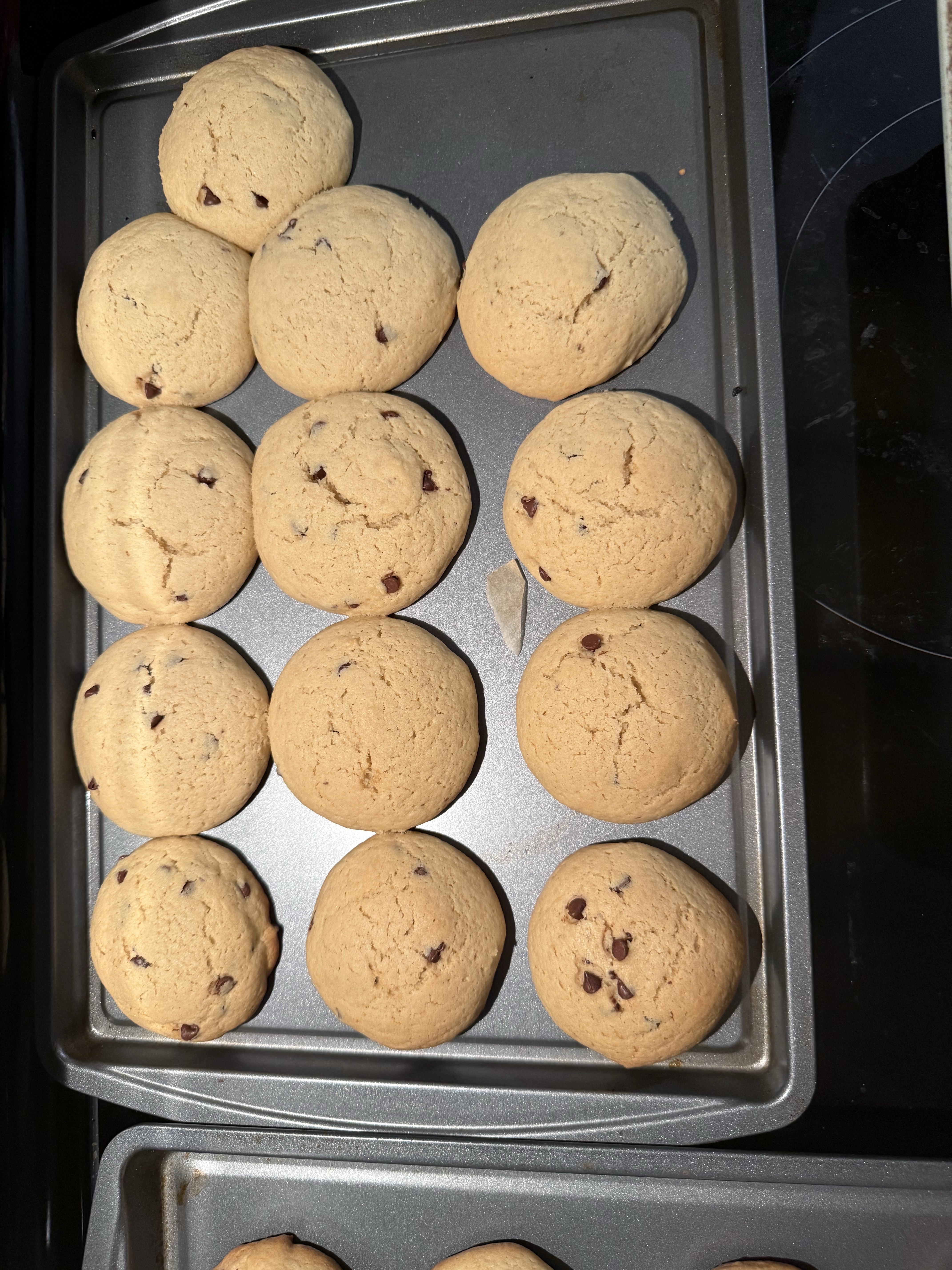Sourdough Chocolate Chip Cookies