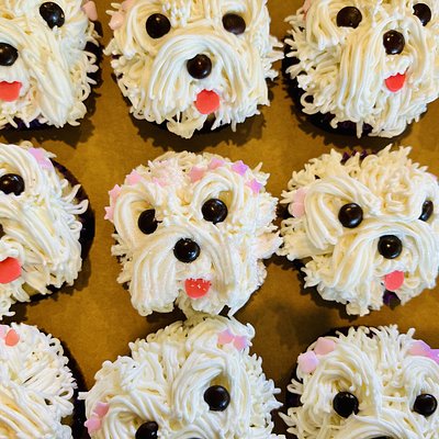 Adorable Puppy Vanilla Cupcakes 