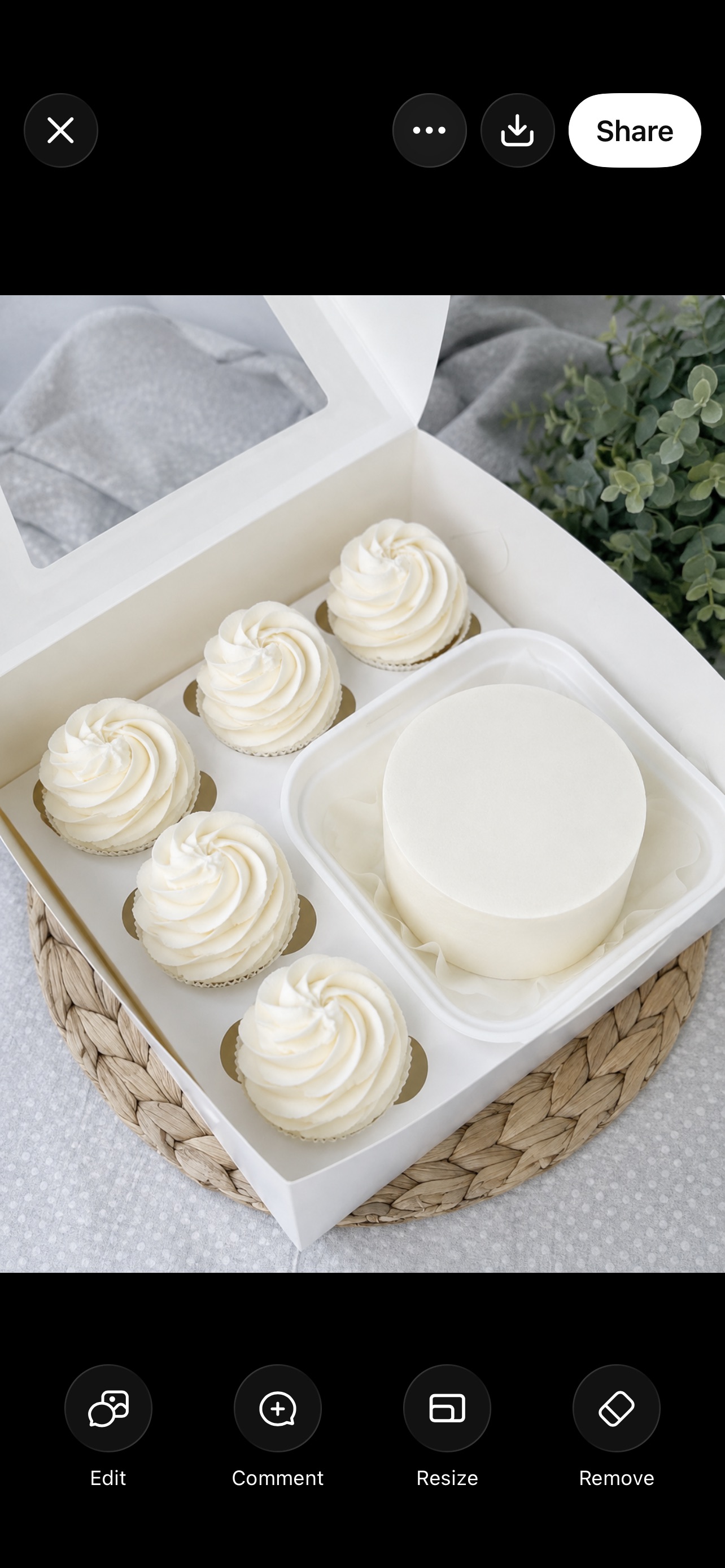 bento cake with 5 cupcakes 