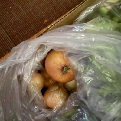 Onion