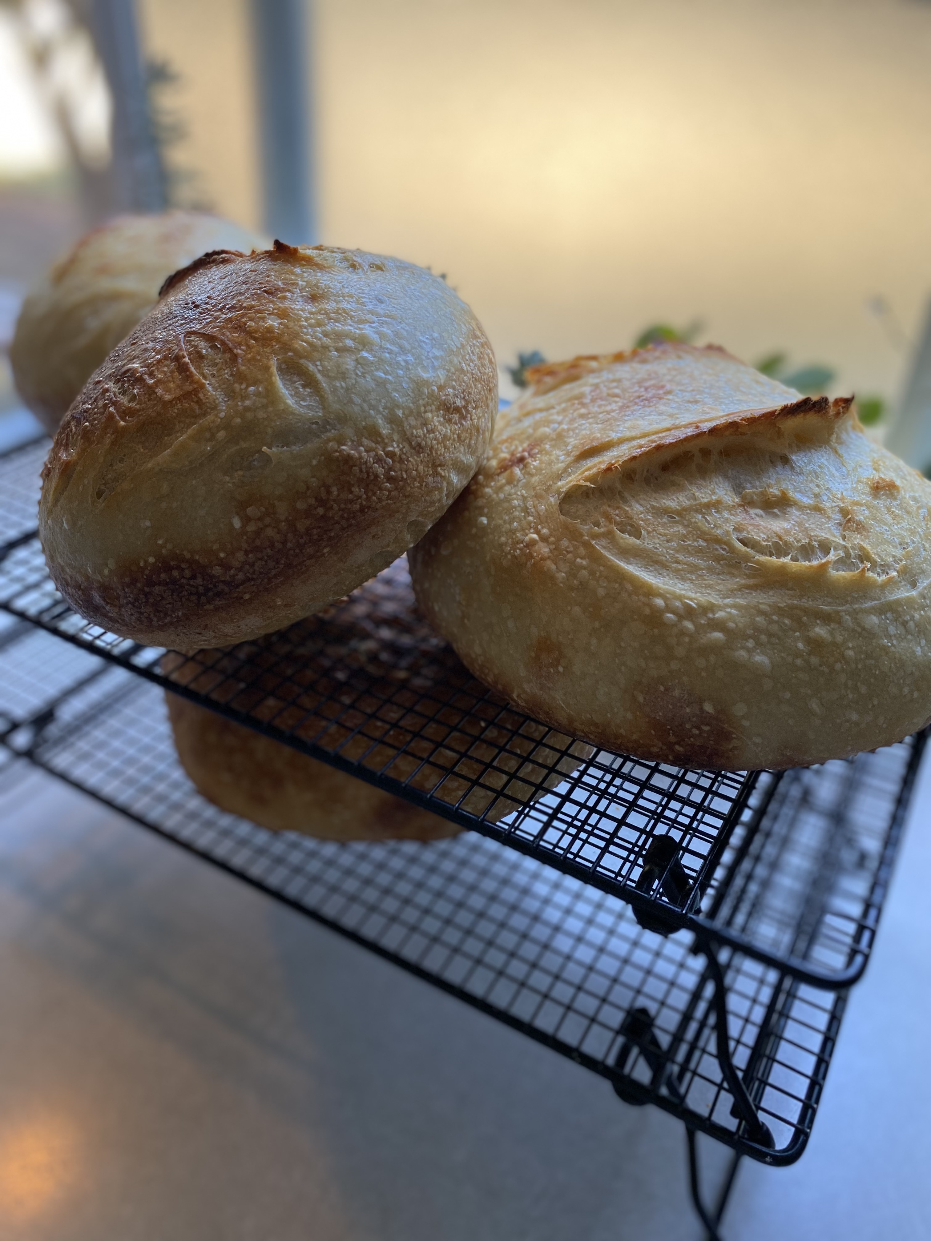 Sourdough Loaf -Original