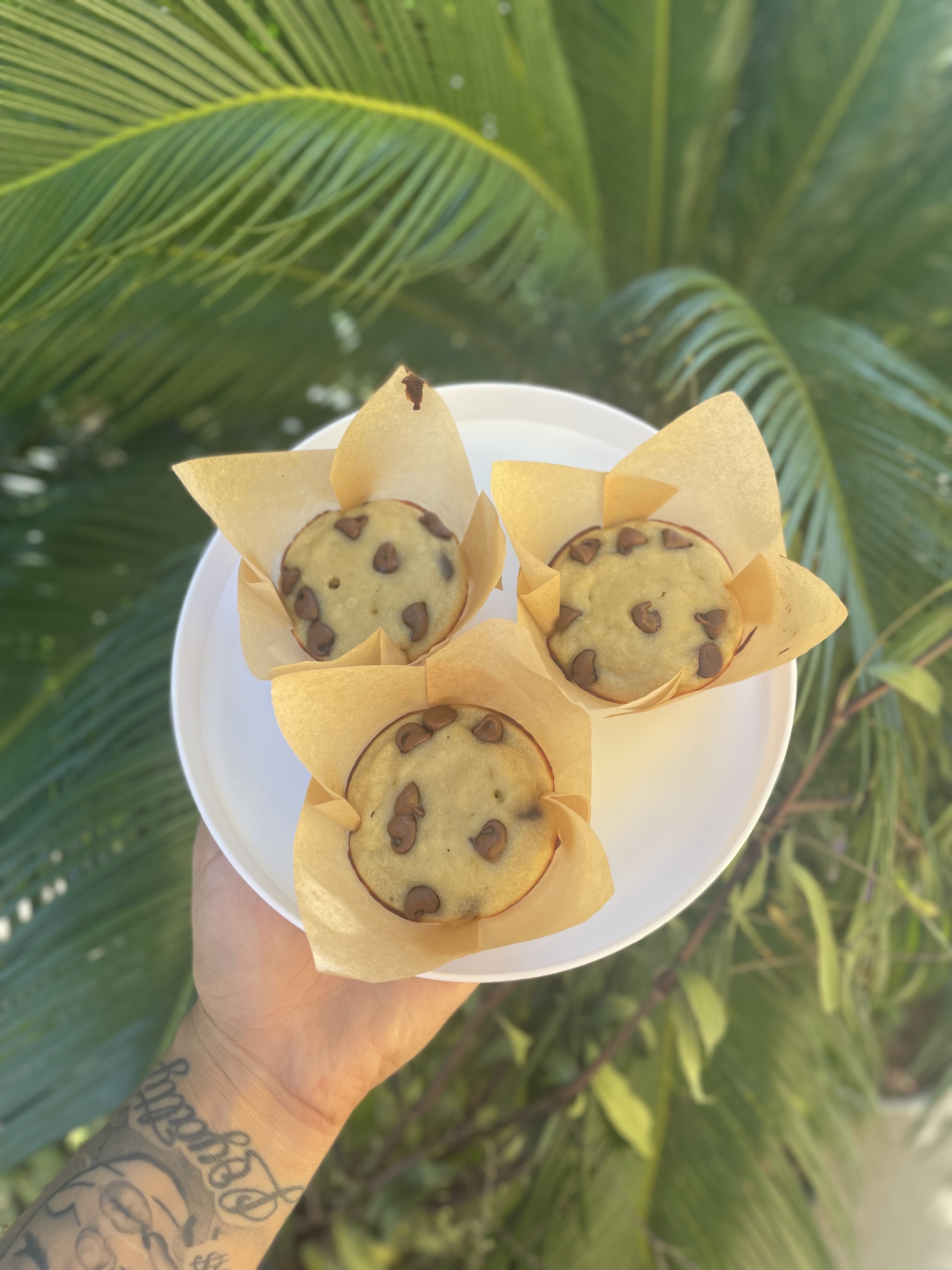Protein Muffins💪