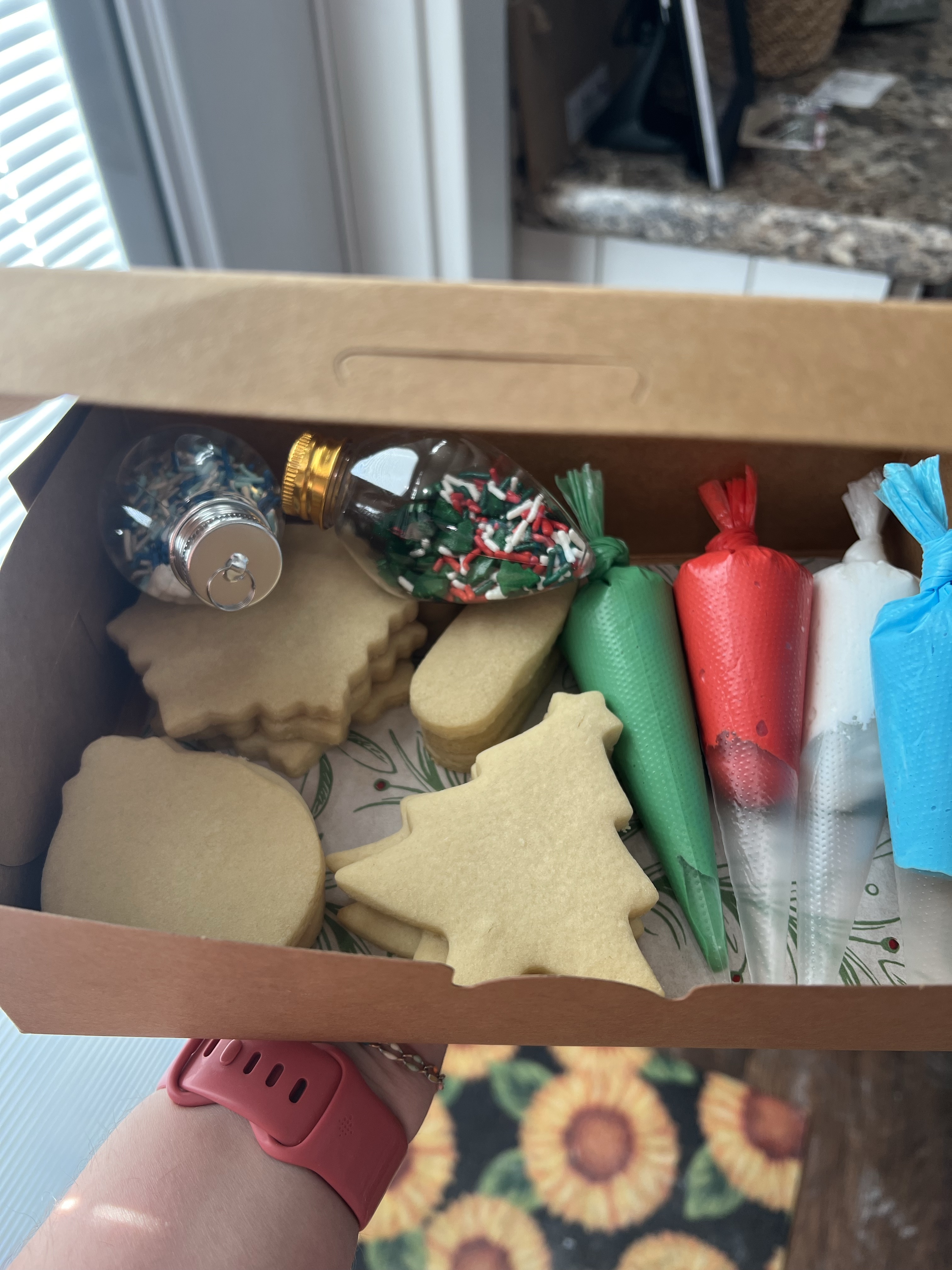 Small Christmas DIY Kit
