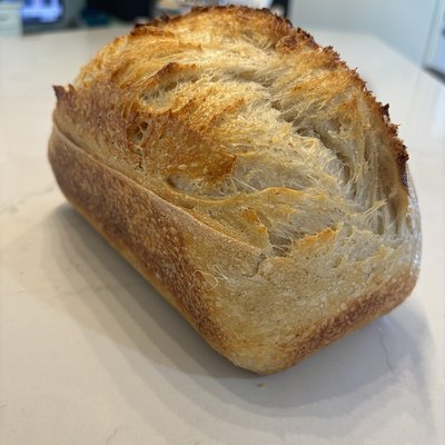 Sourdough Classic - Loaf 