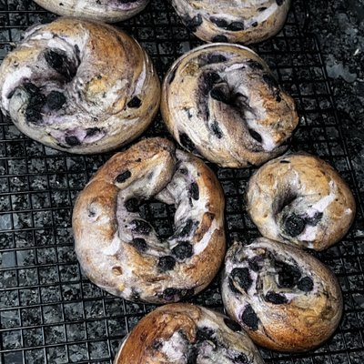 Blueberry Sourdough Bagels